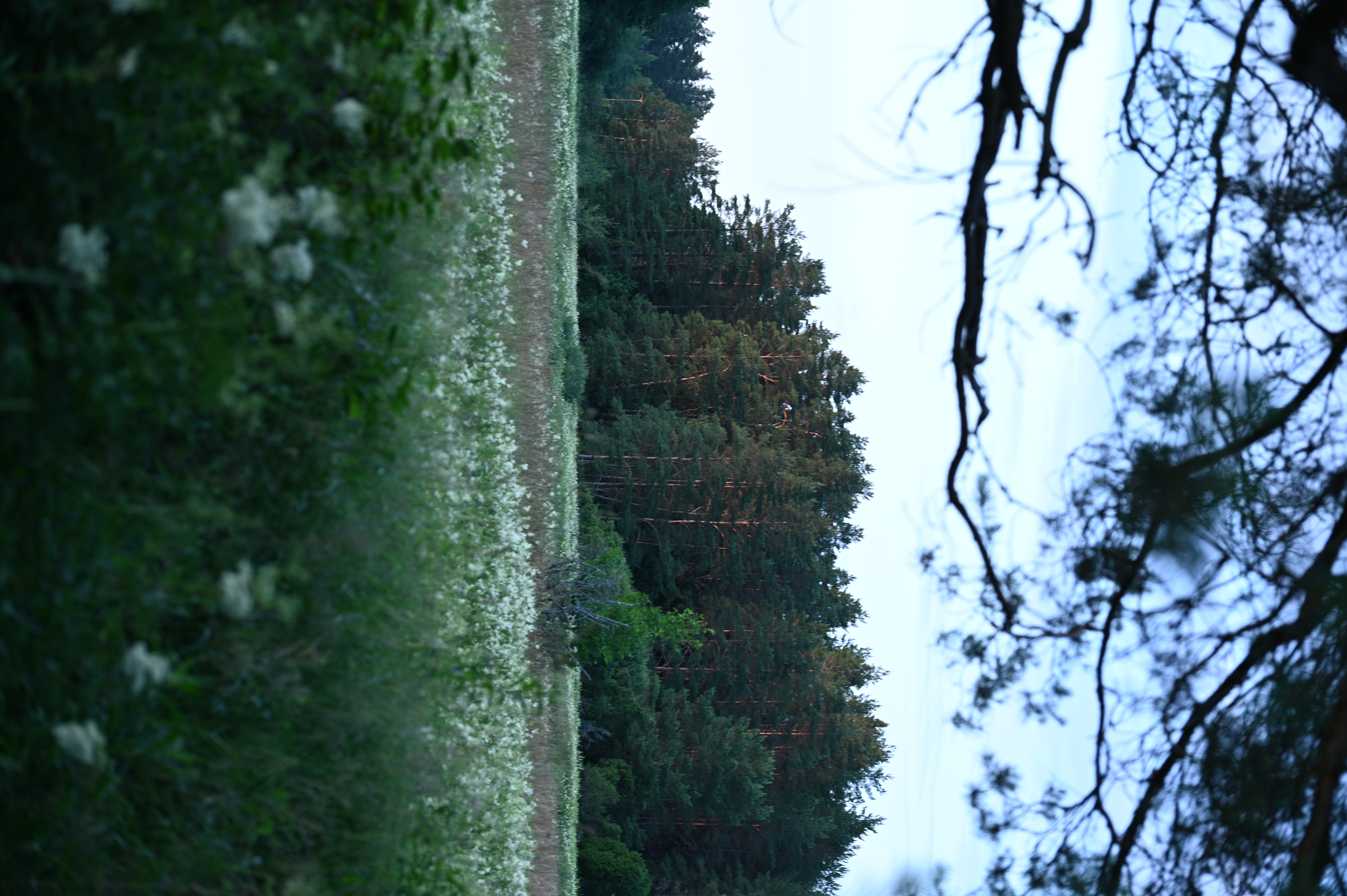 2025/07/09-14 - trip/DSC_0091.JPG